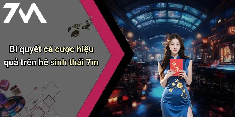 Bí quyết cá cược hiệu quả trên hệ sinh thái 7m