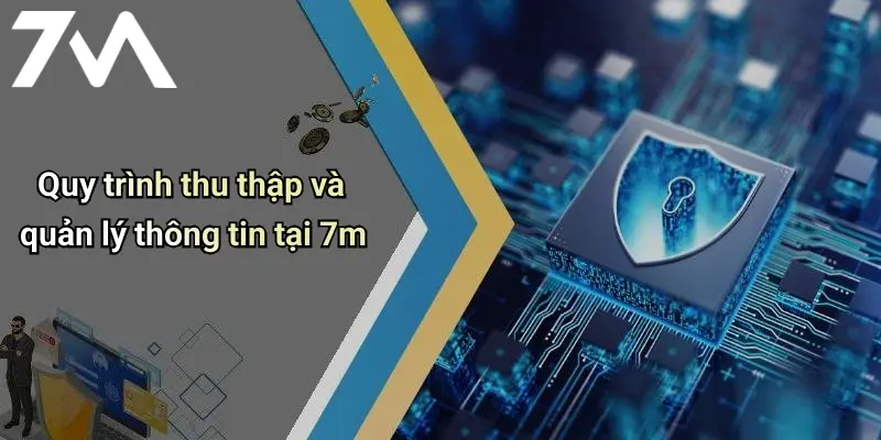 Quy trình thu thập và quản lý thông tin tại 7m