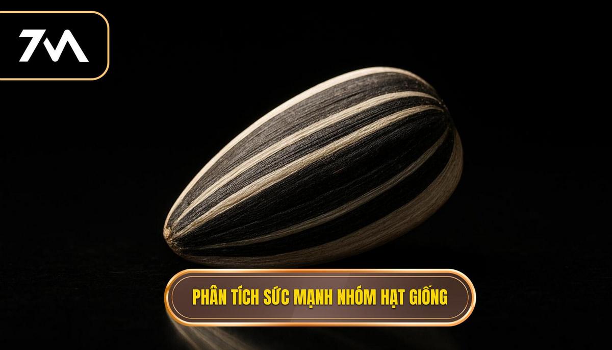 Phân tích sức mạnh các nhóm hạt giống và ứng cử viên vô địch