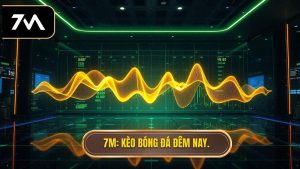 7M Kèo bóng đá đêm nay.