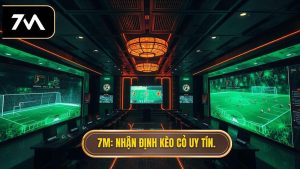 7M Nhận định kèo cỏ uy tín.