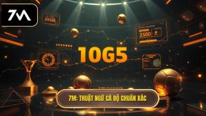 7M Thuật ngữ cá độ chuẩn xác