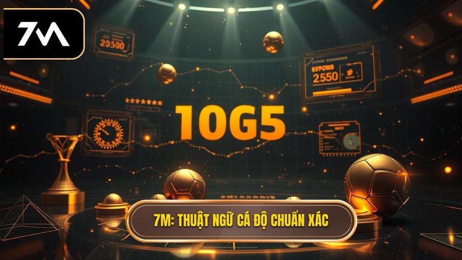7M Thuật ngữ cá độ chuẩn xác